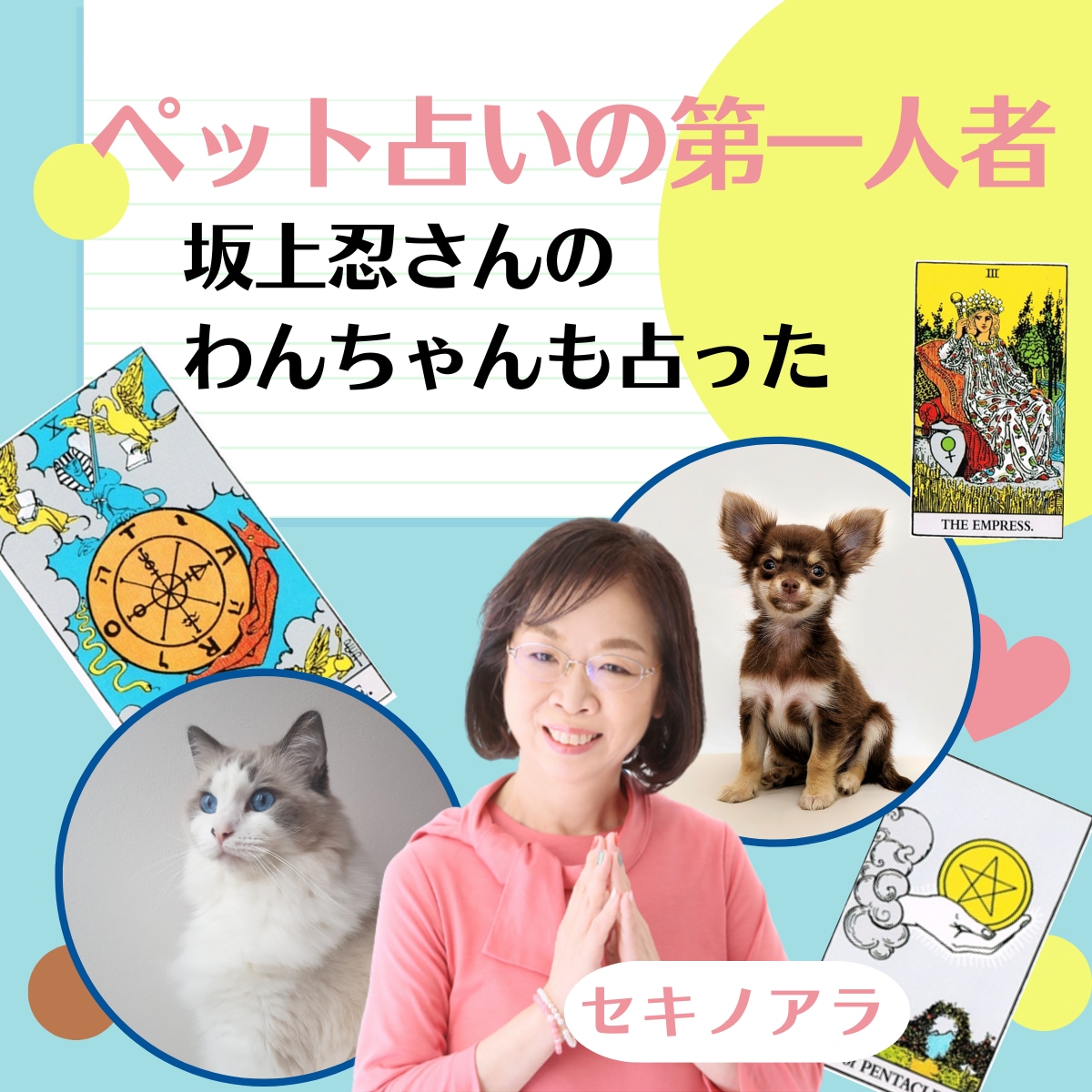 あなたのペットの気持ちをタロットカードで占います テレビでも紹介された「わんにゃん占い」ならわかるペットの心 イメージ2