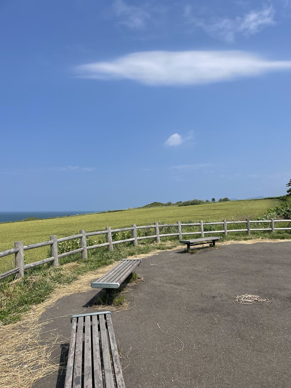 北海道旅行のプラン提案します 札幌在住者が地元の人が通うスポットや話題の場所をお伝えします イメージ5