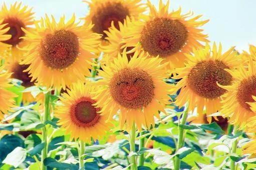 とにかく聞いてほしい！あなたの話をお聞きします どんなことでもお話しください！ イメージ1