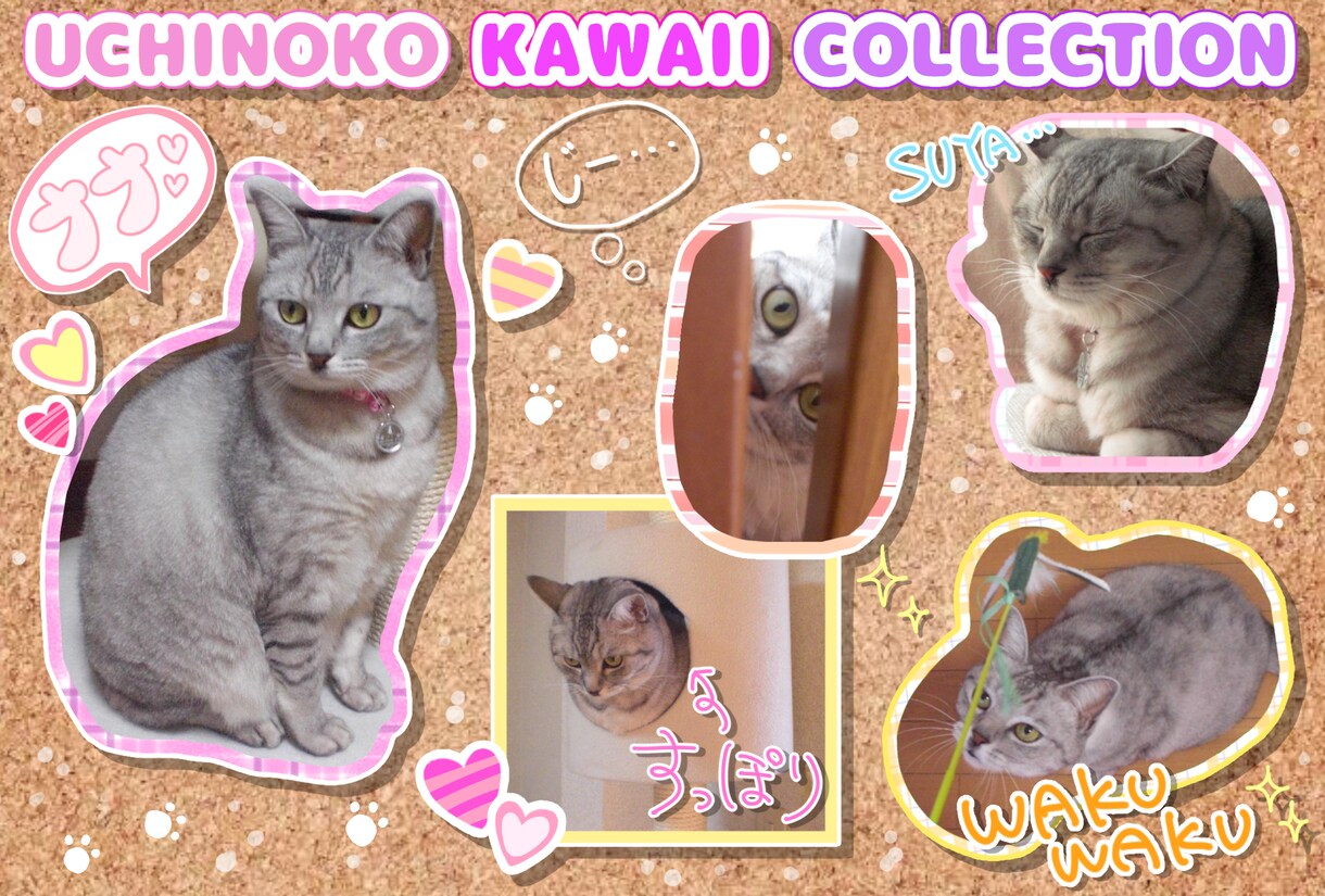 ねこさんとの思い出を記録します 『うちの子かわいいこれくしょん』アルバム風の画像を制作します イメージ1