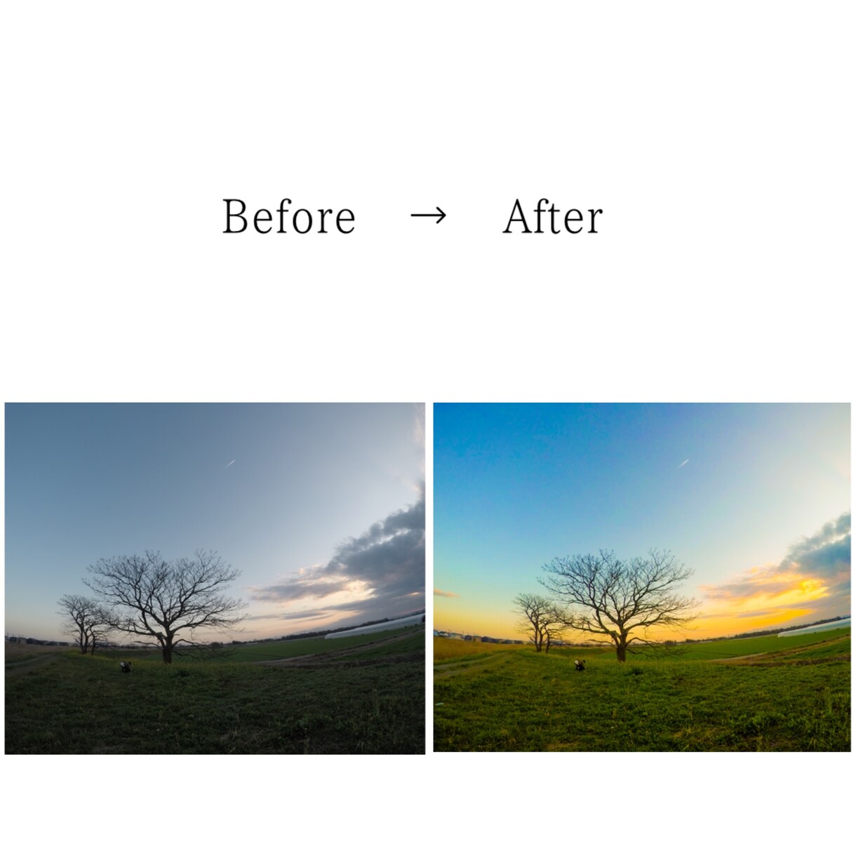 写真の色味編集10枚1000円でします 写真の色味を鮮やかに、期間限定ウェディングフォトプラン有 イメージ2