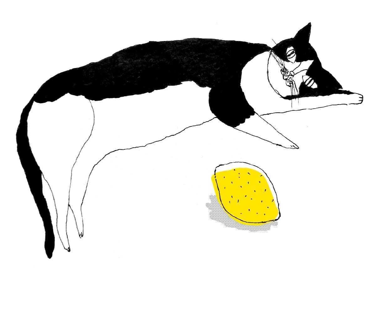 あなただけのSNS用アイコン・ヘッダー描きます 好きなものや可愛いと思うものをイラストに✨似顔絵風もOK！ イメージ1