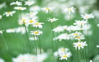 愚痴や悩み相談お話相手なんでも聞きます 今日嫌なことありませんでしたか？今すぐお話相手になります イメージ2