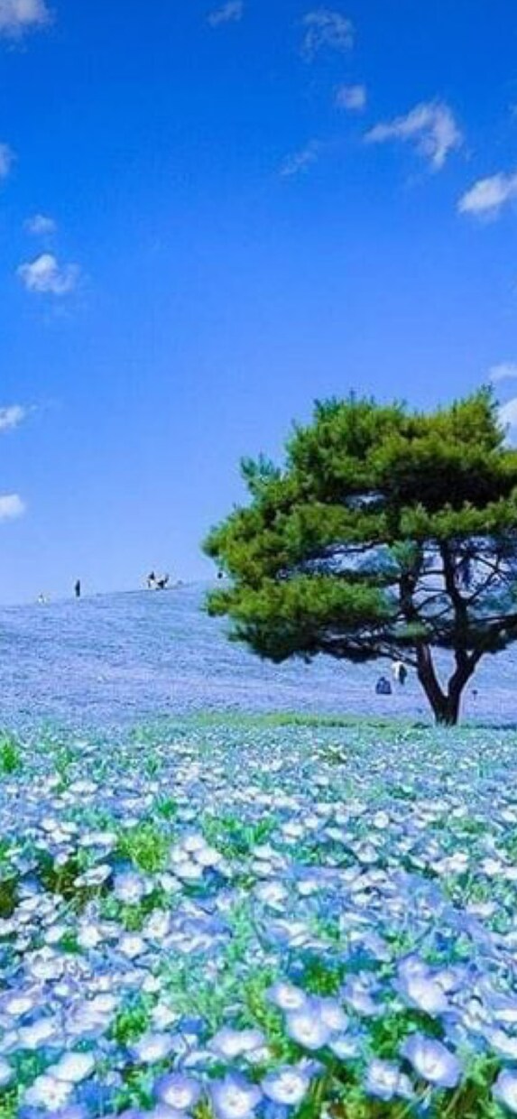 立ち直れない。自己嫌悪。失敗談しっかりお聞きします 失敗を引きずる。落ち込んだ心を優しく癒し、元気にします。 イメージ6