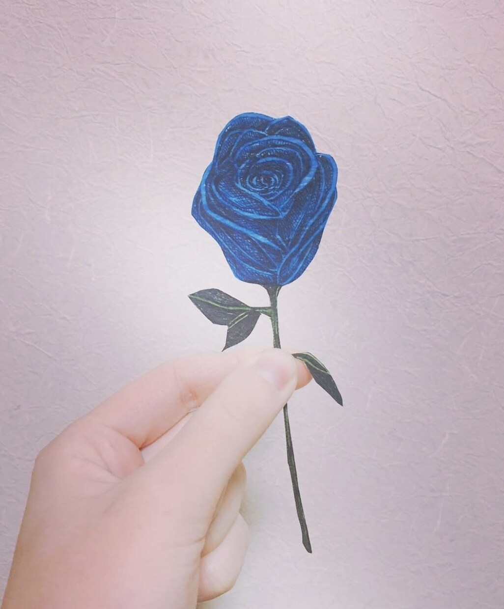 ボールペンで繊細でアンニュイなイラストを描きます どこか憂いのある美しい線。唯一無二の「手描き・アナログ感」 イメージ9