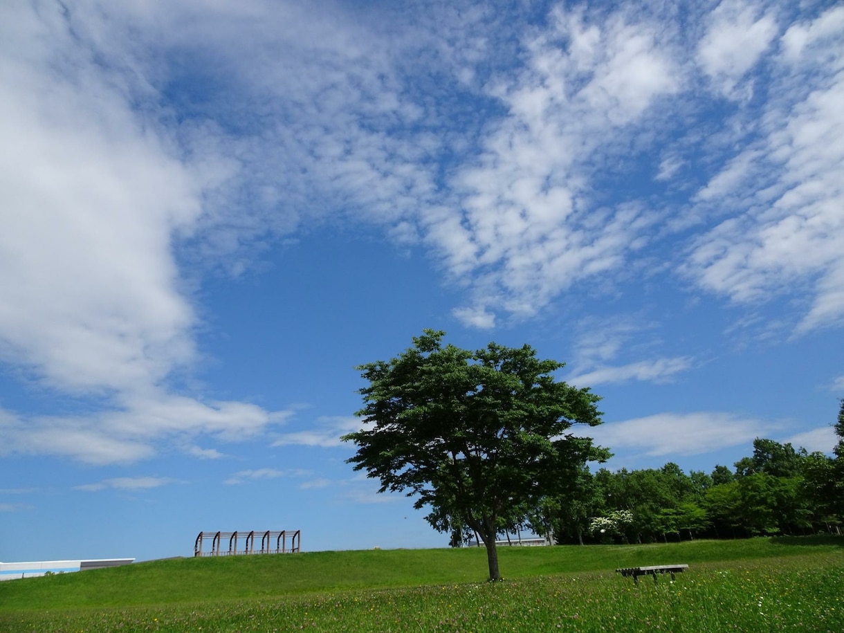 悩みや吐き出せない気持ちを寄り添ってお聴きします 普段、気持ちを溜め込んで吐き出せずにいるあなたへ！おススメ！ イメージ7