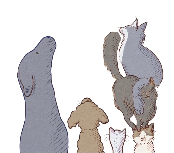 ペット、動物のイラスト描きます 三大美大卒がゆるふわ系に動物をお描きします！ イメージ2