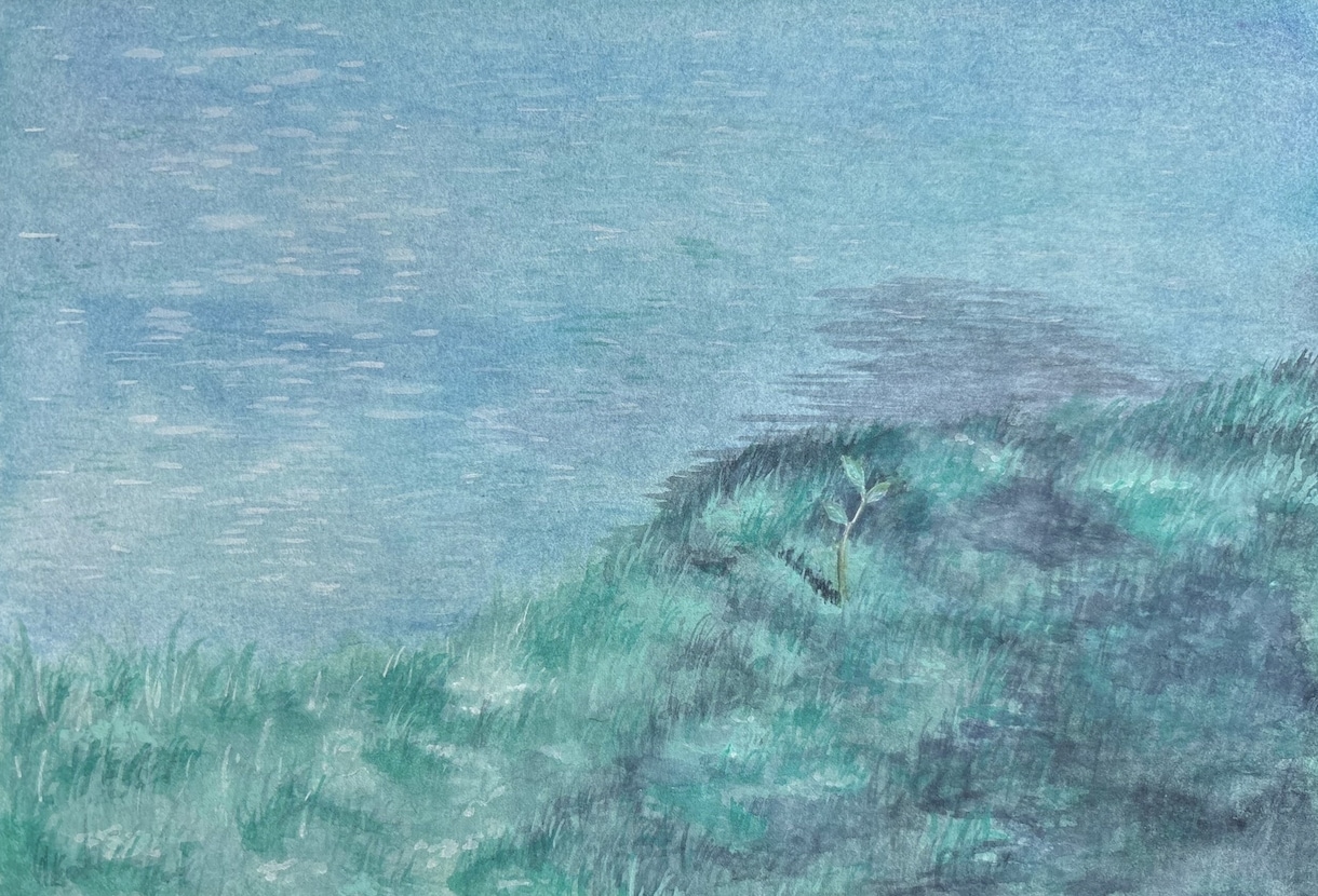 背景少なめ、世界観のある水彩イラストを描きます シンプルだけど印象に残る、絵本のようなイラストを描きます イメージ7