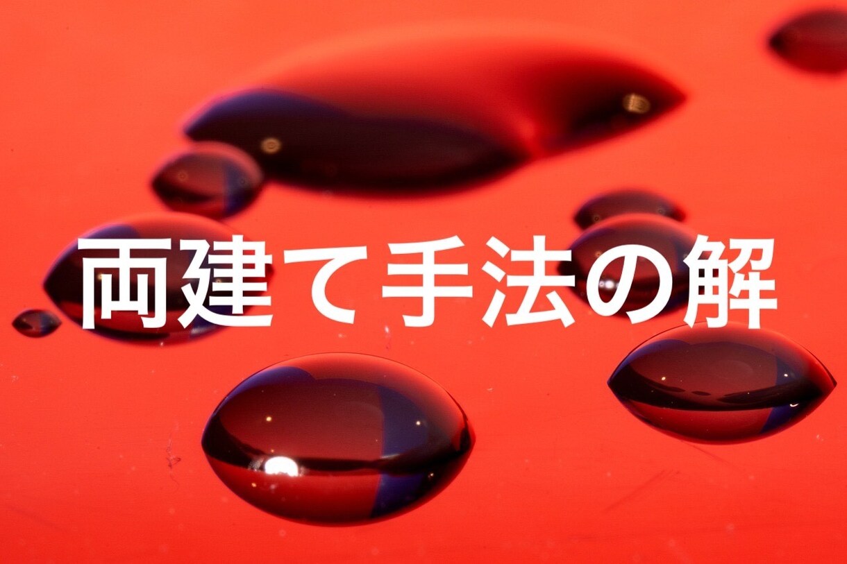 プロが使用！珠玉の両建て手法を提供します MT4のとブローカーの歪みを利用した両建て手法の解！ イメージ1