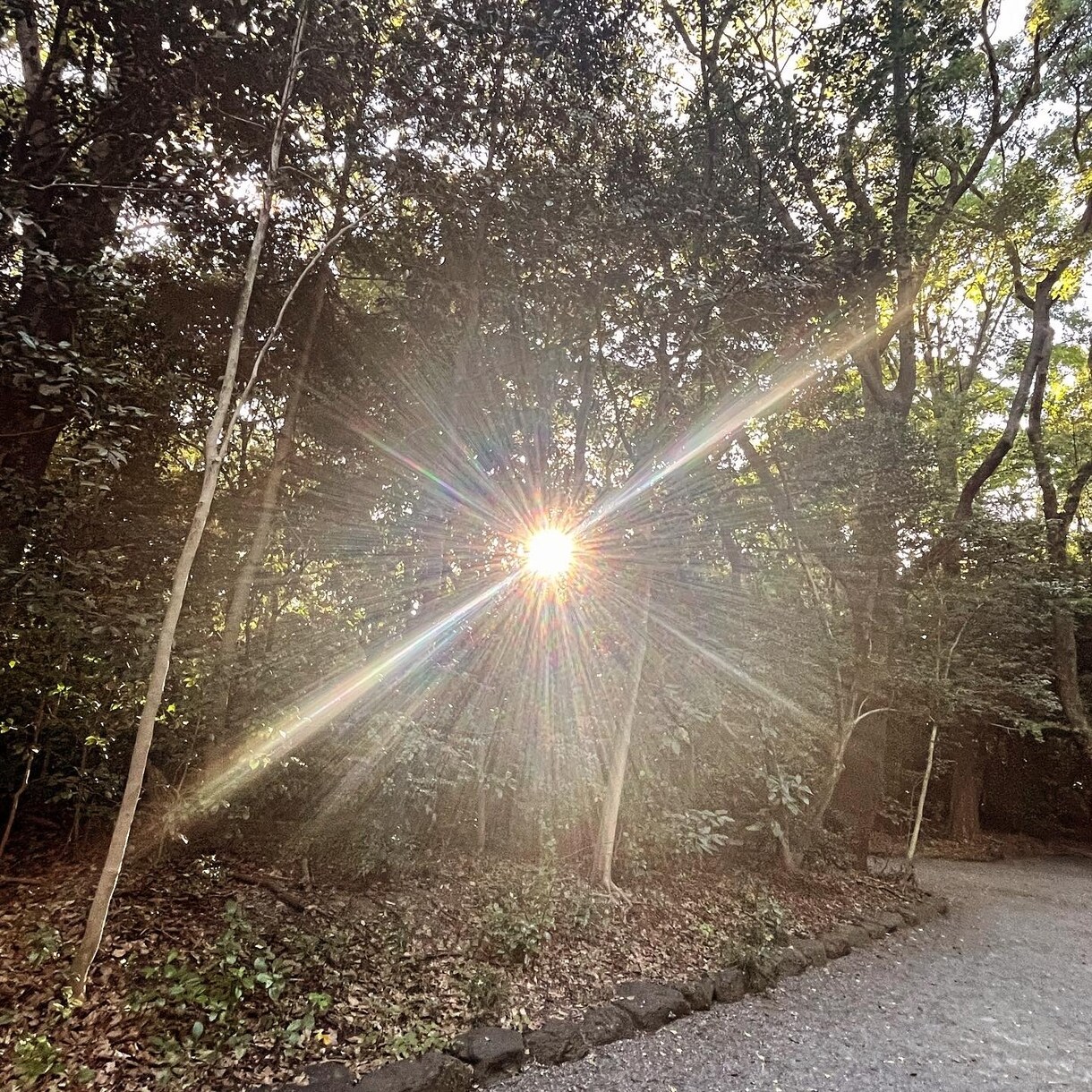 最善のアナタ様に☆^ ^★ご祈願、ご祈念致します 心願成就☆御縁結び★身心健康☆交通安全★厄難消滅 イメージ7