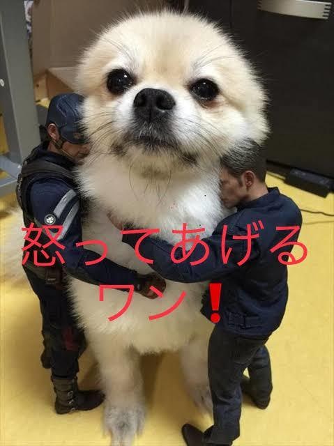 貴方を優しく怒ったり癒します 仕事で疲れてる方や、日々の生活に不安な方募集しますよ〜⭐︎ イメージ1