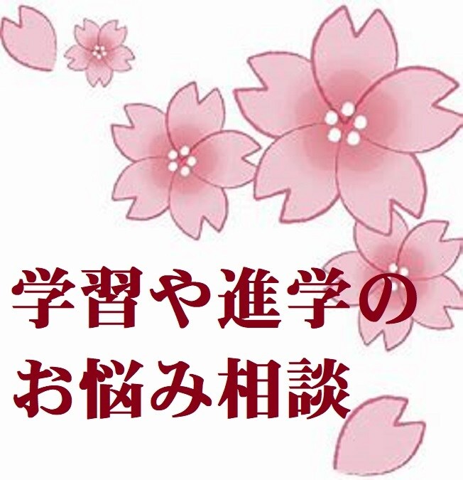学校、学習、受験、進路などのお悩み相談いたします 青春時代は悩み、不安で一杯ですよね。私と共有しましょう イメージ1