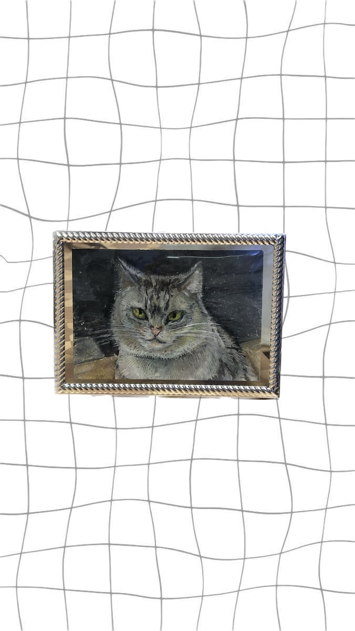 あたたかみのある猫ちゃんの似顔絵描きます 他SNSで販売実績あり！初めて絵を注文する方にも安心です。 イメージ6