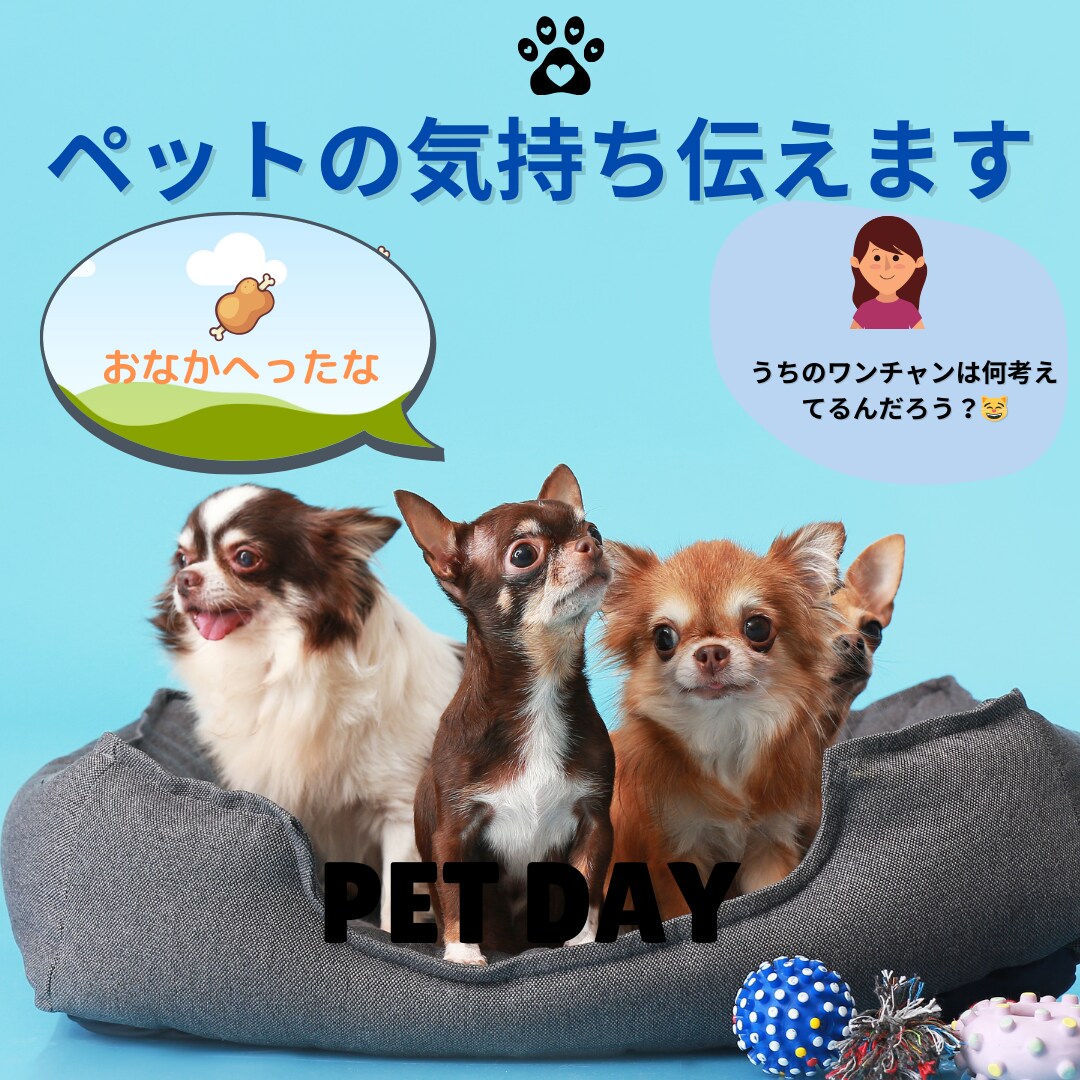 霊視にてペットの気持ち伝えます ペットの気持ちを知ることで思っていることを伝えます。 イメージ1