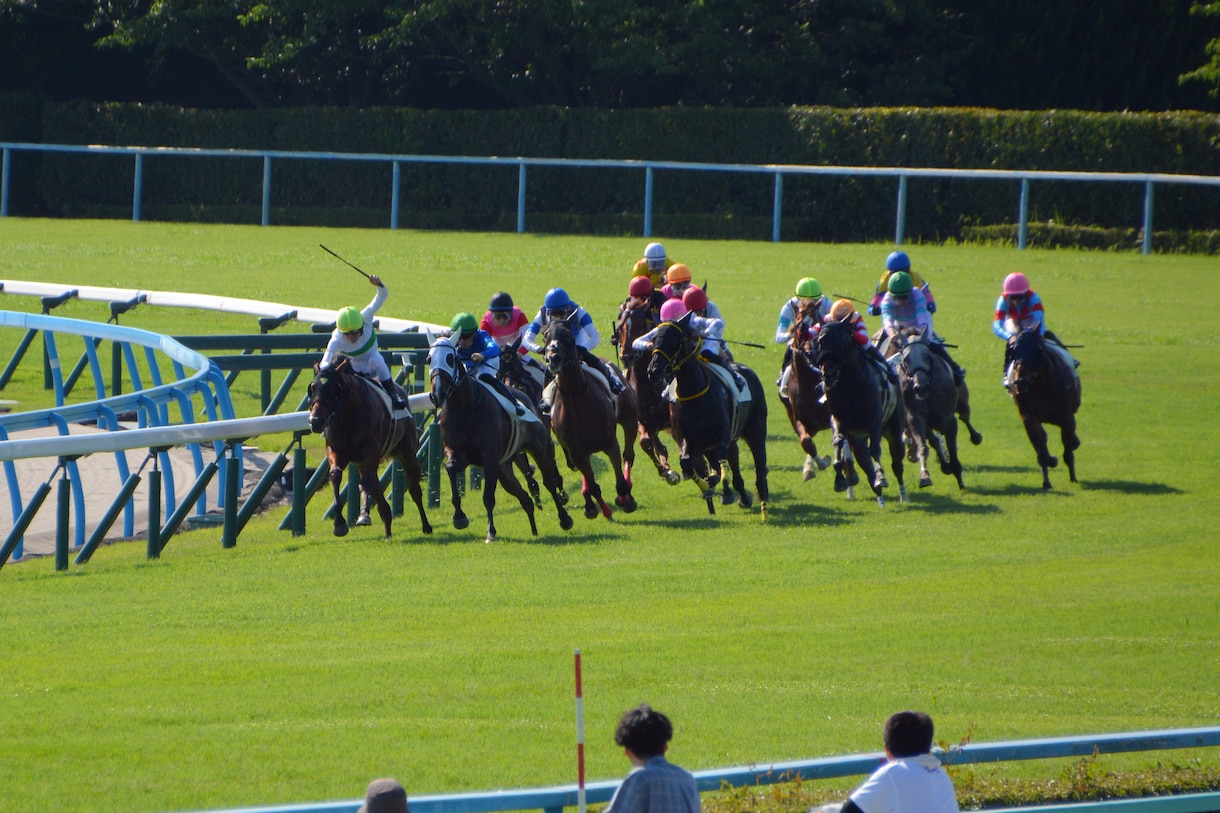 すぐに使える競馬予想AIを提供・レクチャーします カレンダーからレースを選択して簡単予測！ イメージ1
