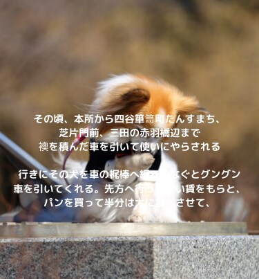 WordPressカスタマイズいたします 『あなたのために、あなたとともに』仕事をいたします。 イメージ1