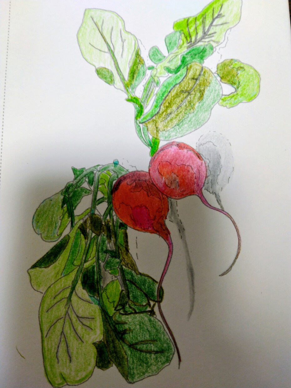 世界に1つだけの塗り絵あります アナログ塗り絵お手元にお届けいたします！ イメージ1