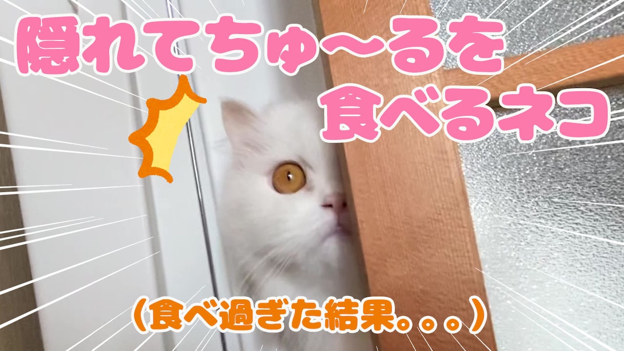 格安でYouTubeサムネイル作成致します 実績500枚以上！格安でyoutubeサムネ作成します！ イメージ7