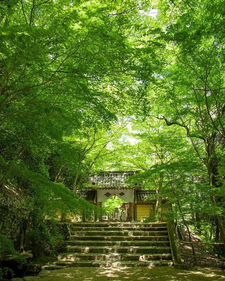 5分でもOK！誰かと話したい時、お話し聞きます 日常のことでも魂の色のことでも何でもOK イメージ7