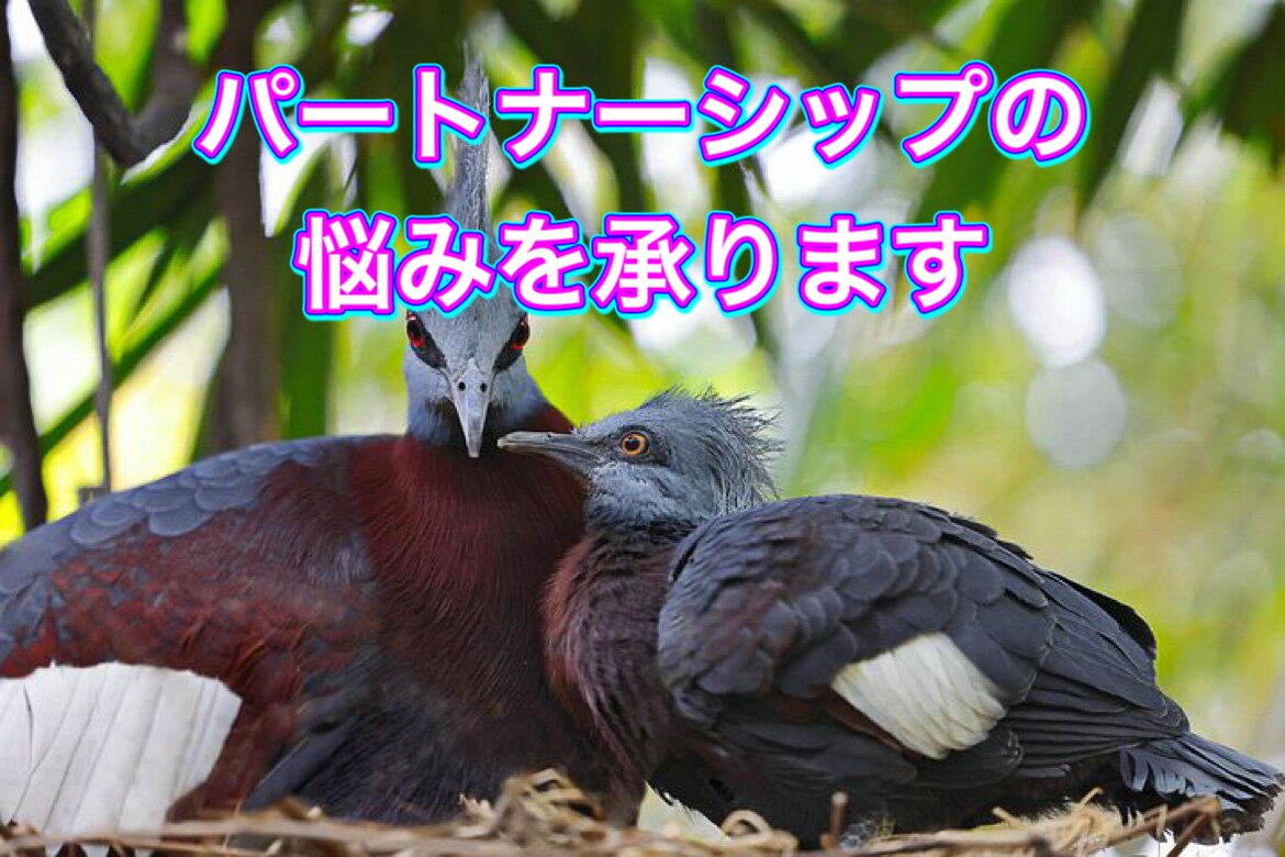 パートナーシップでの悩みを聞きます 自分・意中の人・家族・仕事場のパートナーシップで悩みに イメージ1