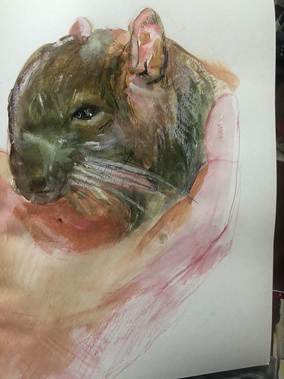 動物のイラストを絵画タッチに描きます 大好きな家族(動物)をそっくりに絵に描いてもらいたい方へ イメージ4