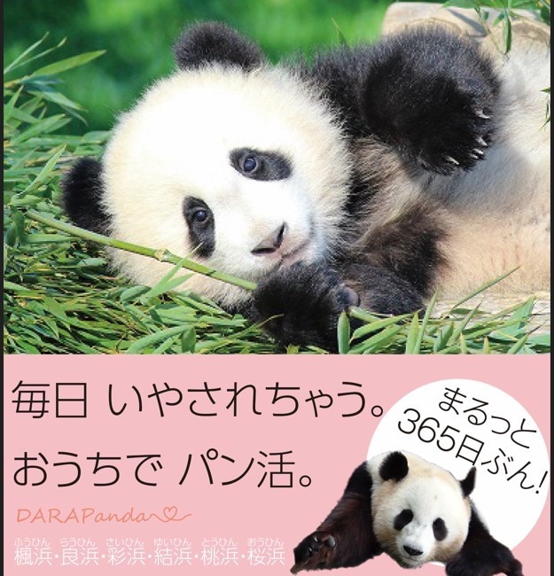 丸投げOK！電子書籍ペーパーバック出版代行します 【ビジネス紹介・自己アピール】あなただけのオリジナル文章を イメージ7