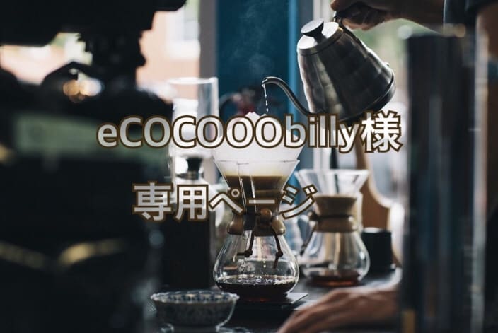 eCOCOOObilly様専用ページでございます 〜専用ページ＊迅速・丁寧に対応致します〜 イメージ1