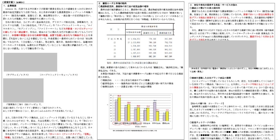 小規模事業者持続化補助金の事業計画書を作成します 【コンサル x 投資銀行】短納期で高品質な事業計画書の作成 イメージ5