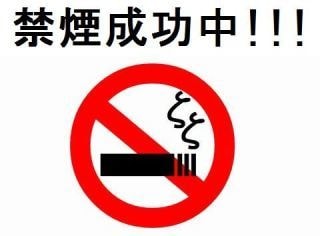禁煙サポート｜1日1箱超の私が成功法を教えます チャットで禁煙をサポート。あなたに合う方法を一緒に考えます イメージ2
