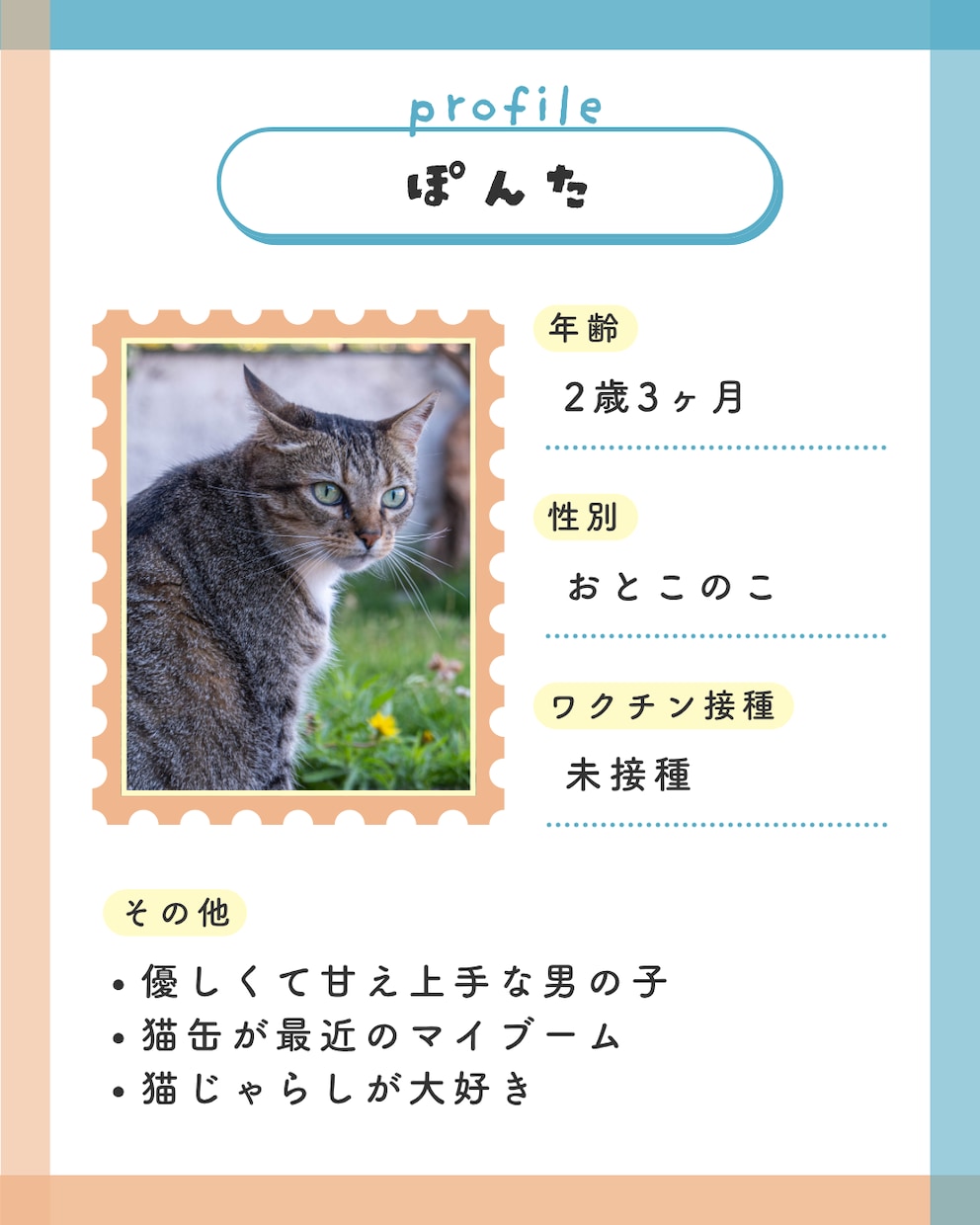 猫instagramの投稿や広告画像制作します ねこに特化！イメージに寄り添い丁寧にデザイン制作いたします！ イメージ6