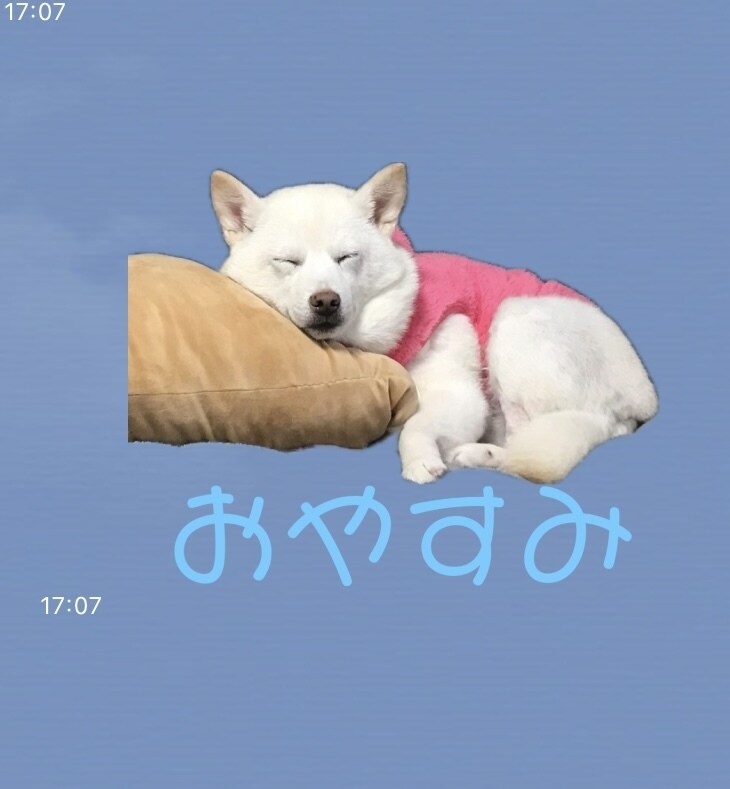 お気に入りの写真でLINEスタンプ作成します 愛するペットやお子さんの写真をLINEスタンプにしませんか？ イメージ3