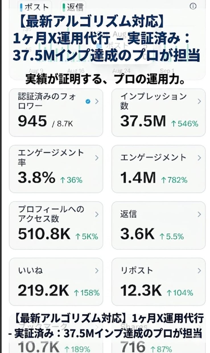 X収益化500万インプ達成代行します X運用代行100件超のプロが500万インプ達成を完全代行 イメージ1