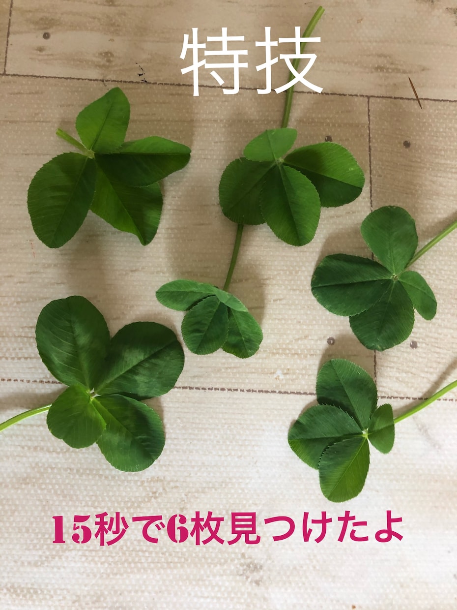 あなたのお話に私のお耳はダンボになります 心と心で向き合いたいね優しい気持ちで寄り添いたいね イメージ6