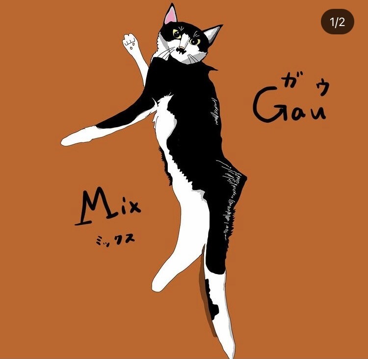 みなさんの猫ちゃんをお洒落なイラストにします 他には無いスタイリッシュで可愛らしいイラストに仕上げます✨ イメージ7