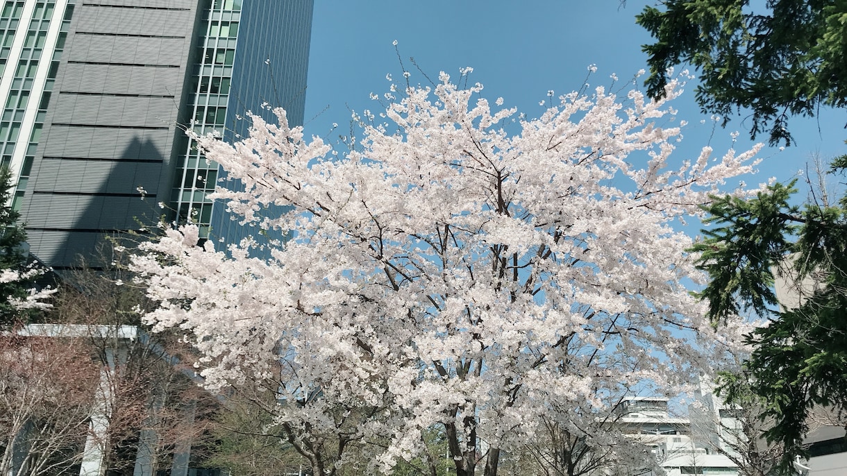 気学鑑定士があなたの宿命的性格・運気を鑑定します ・・生まれながらの強み弱み客観的に把握⇒明るい未来を描ける！ イメージ4