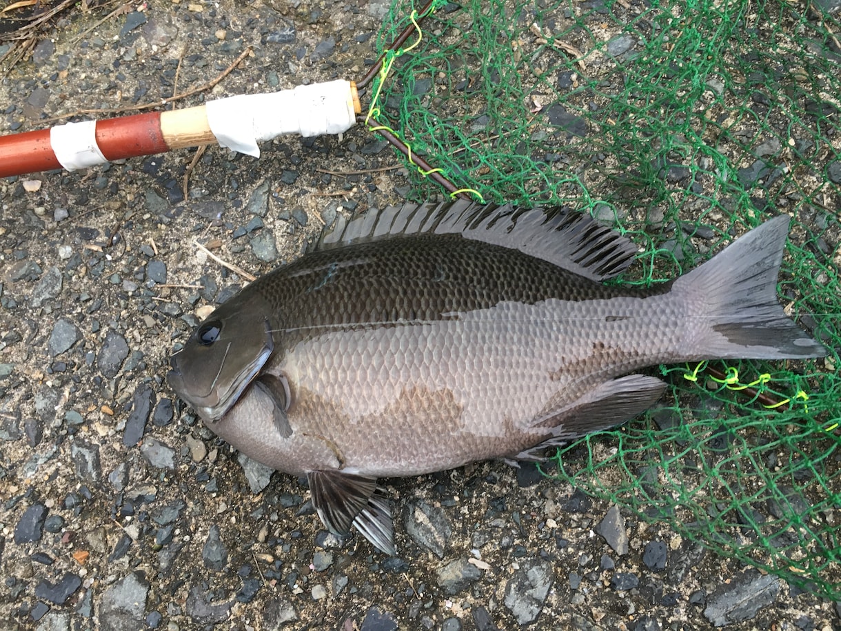 釣りのことならなんでも聞いてください！！ イメージ1