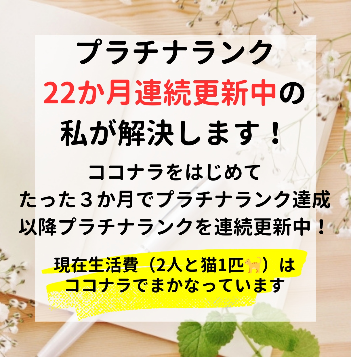 初心者がたった３か月でプラチナになった方法教えます プラチナランクになった方法を包み隠さず記した教材 イメージ3