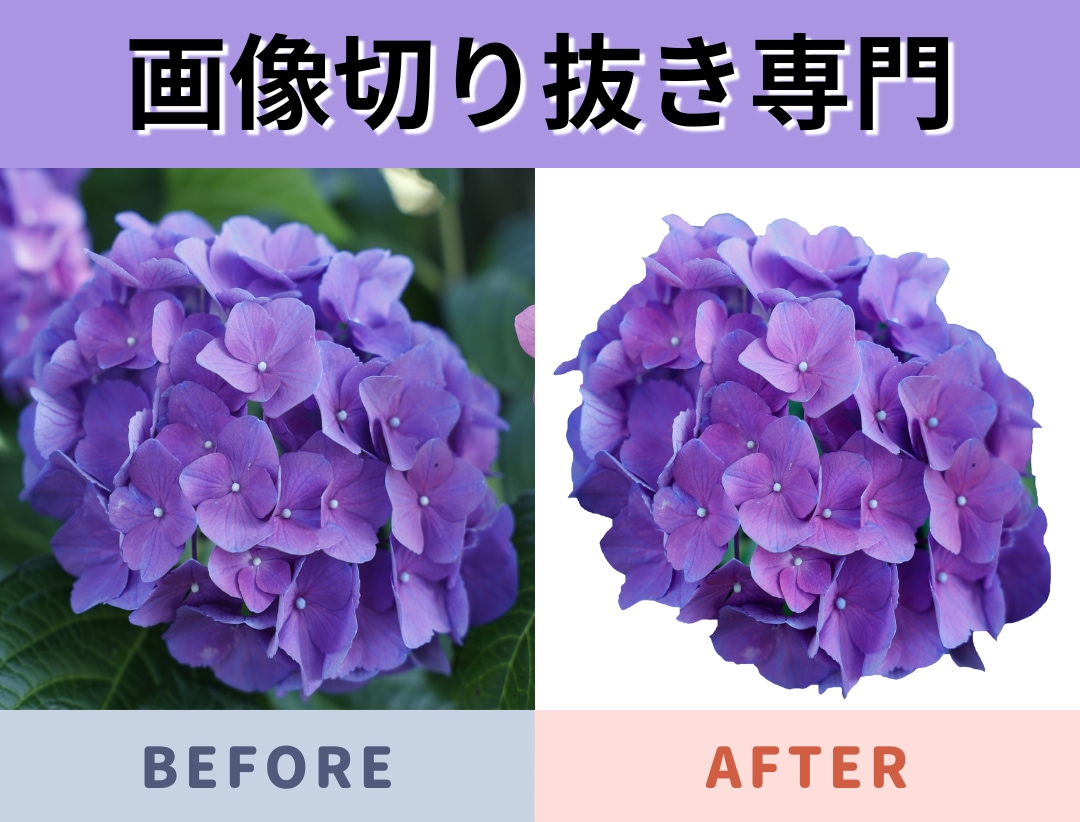 画像切り抜きを専門に行っています 切り抜いた画像でデザインの幅を広げよう！ イメージ1