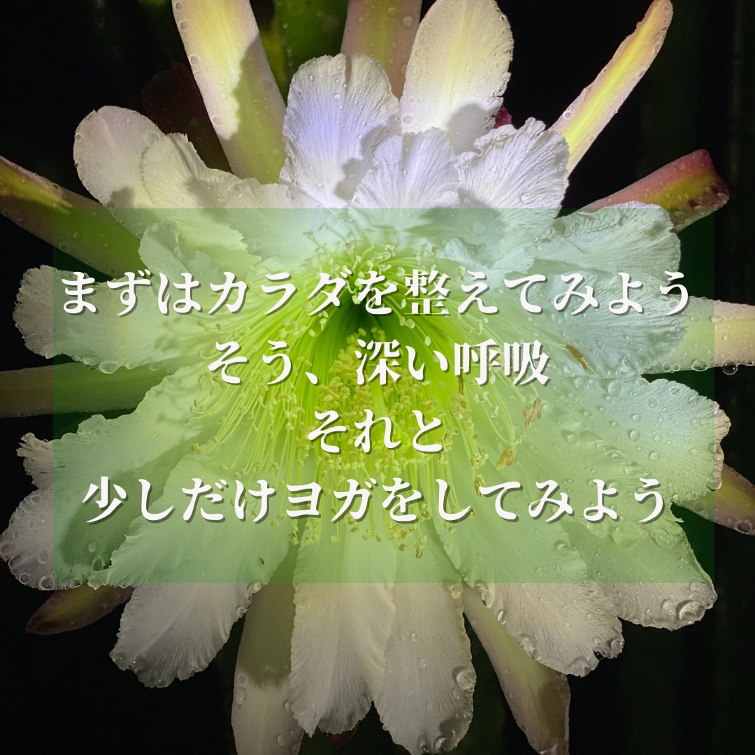 潜在意識に深く入るヨガ＆ヒプノセラピーで解決します 心身バランス整え相乗効果！直感☆集中力＆洞察力UP《４時間》 イメージ7