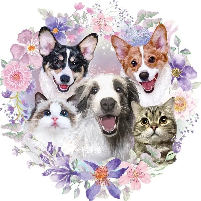 カスタム手描きデジタル犬猫ペットの肖像画ます あなたの写真からのカスタムイラスト イメージ4