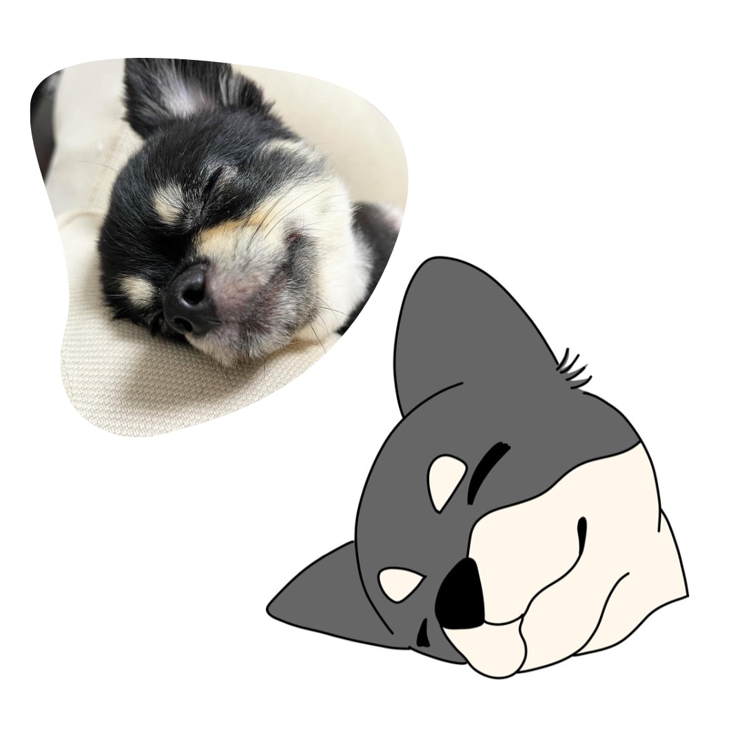 ペットのイラストをゆるかわに描きます スピーディーかつ丁寧に特徴を捉えてお描きします！ イメージ5