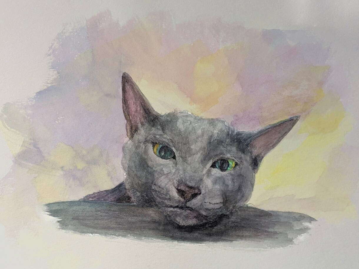 透明水彩絵の具でペットの肖像画を描きます 皆様の大切な家族をお描き致します。 イメージ3