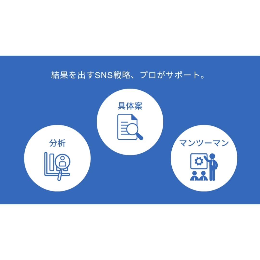 好評につき出品!プロがあなたのSNSコンサルします 複数のSNSを使いこなしてあなたのビジネスを次のステージへ。 イメージ2
