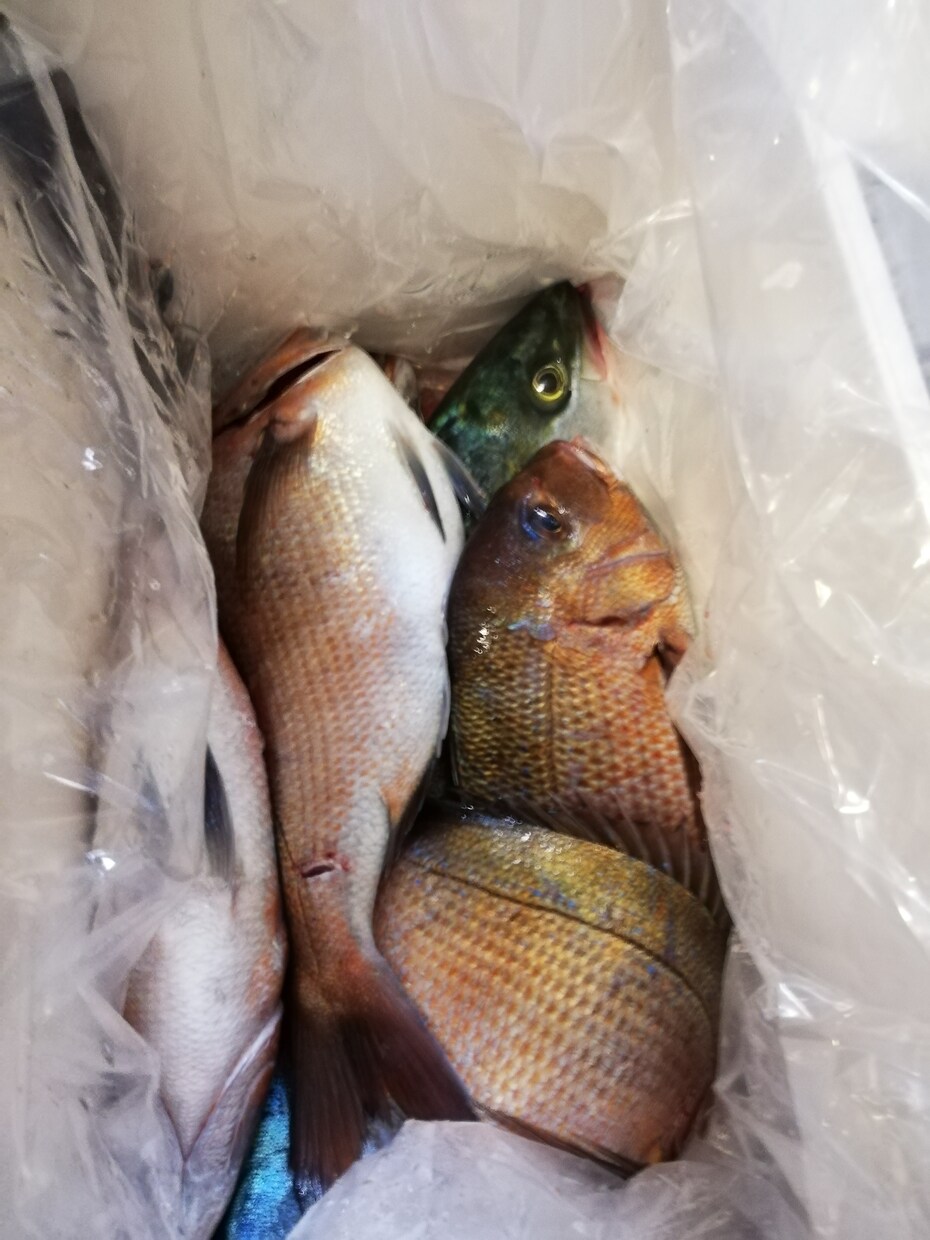 初めてのの釣り〜中級ステップアップ支援します 初心者〜中級者向け！エリアトラウト、バスフィッシングなど イメージ4