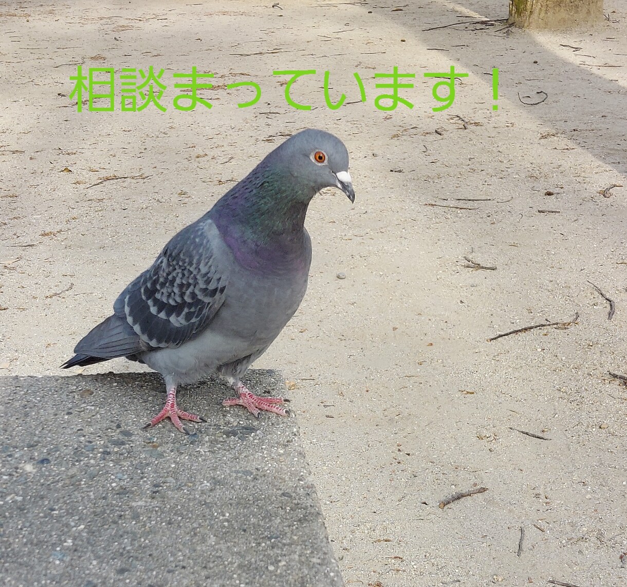 人との良い接し方をおしえます シンプルでわかりやすい人と人の関係 イメージ1