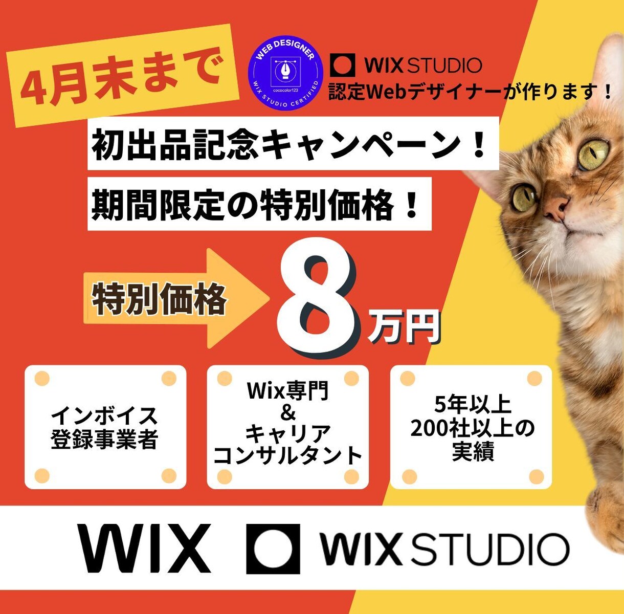 限定価格！Wixでオリジナルホームページ制作します あなたの想いを形にするオリジナルWebサイト制作 イメージ1
