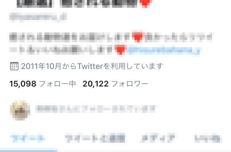 ツイッター約20000フォロワーに宣伝いたします 約20000フォロワーのtwitterで宣伝してみませんか？ イメージ2