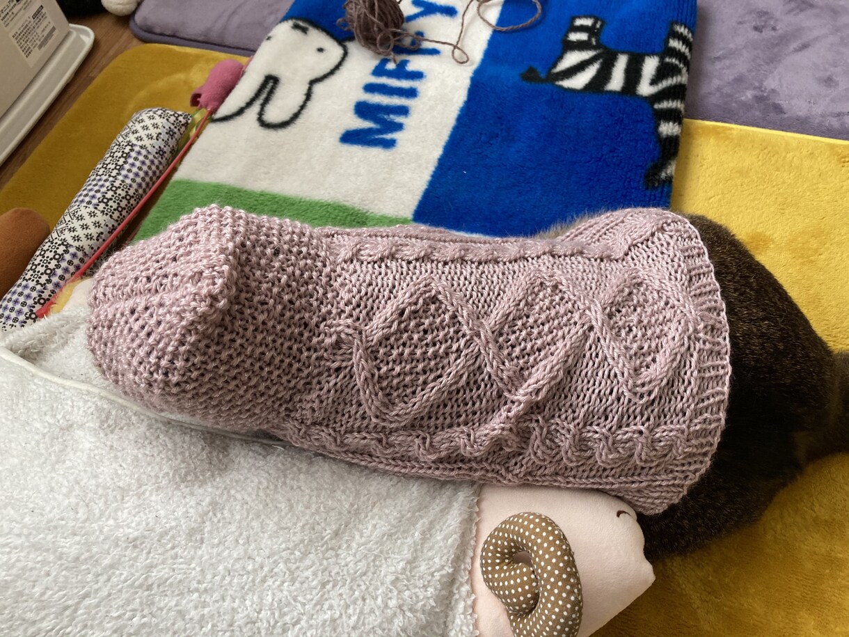 編み物代行してお編みいたします ワンちゃん（犬）ネコちゃん（猫）ベビー（赤ちゃん）ニット イメージ7