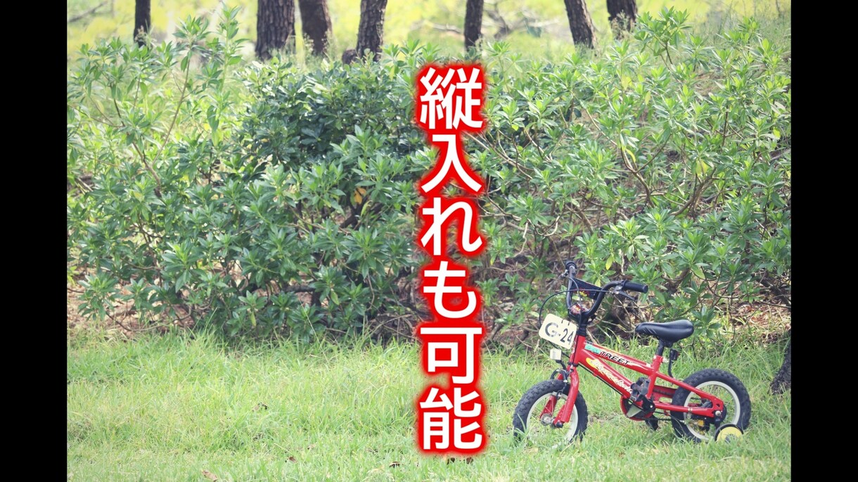 Youtubeなどの動画に字幕をつけます 【最短で即日納品可能！】歌詞・トーク動画などに字幕を入れます イメージ4