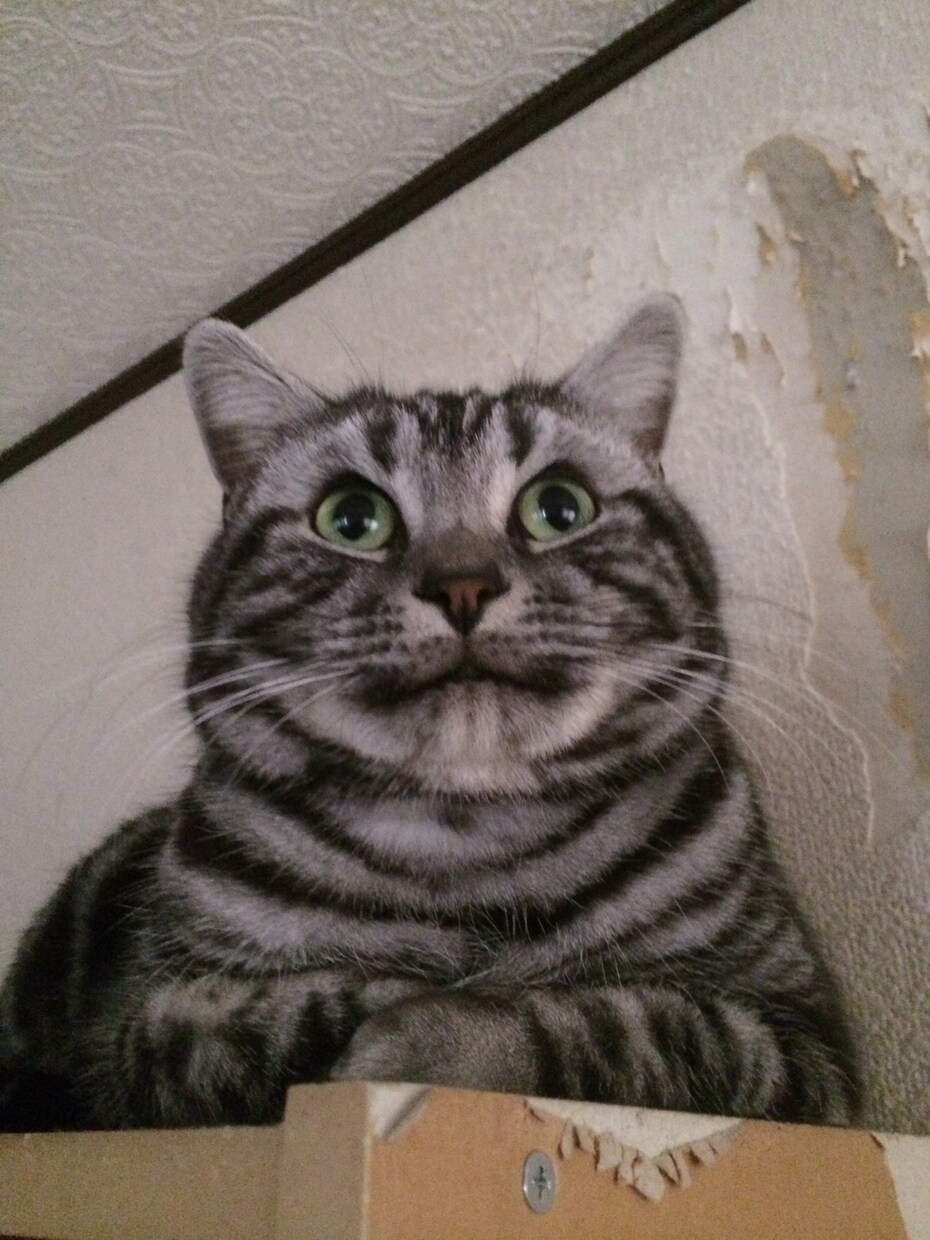 メンヘラ駆け込み寺 イメージ1